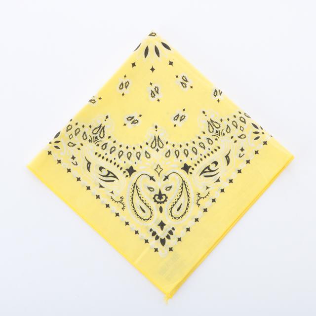 バンダナ 通販バンダナ 柄 ペイズリー柄 HAVAHANK ハバハンク HAV-A-HANK アウトドア 定番 米国製 TRADITIONAL PAISLEYS 正方形 ハンカチ |  | 07