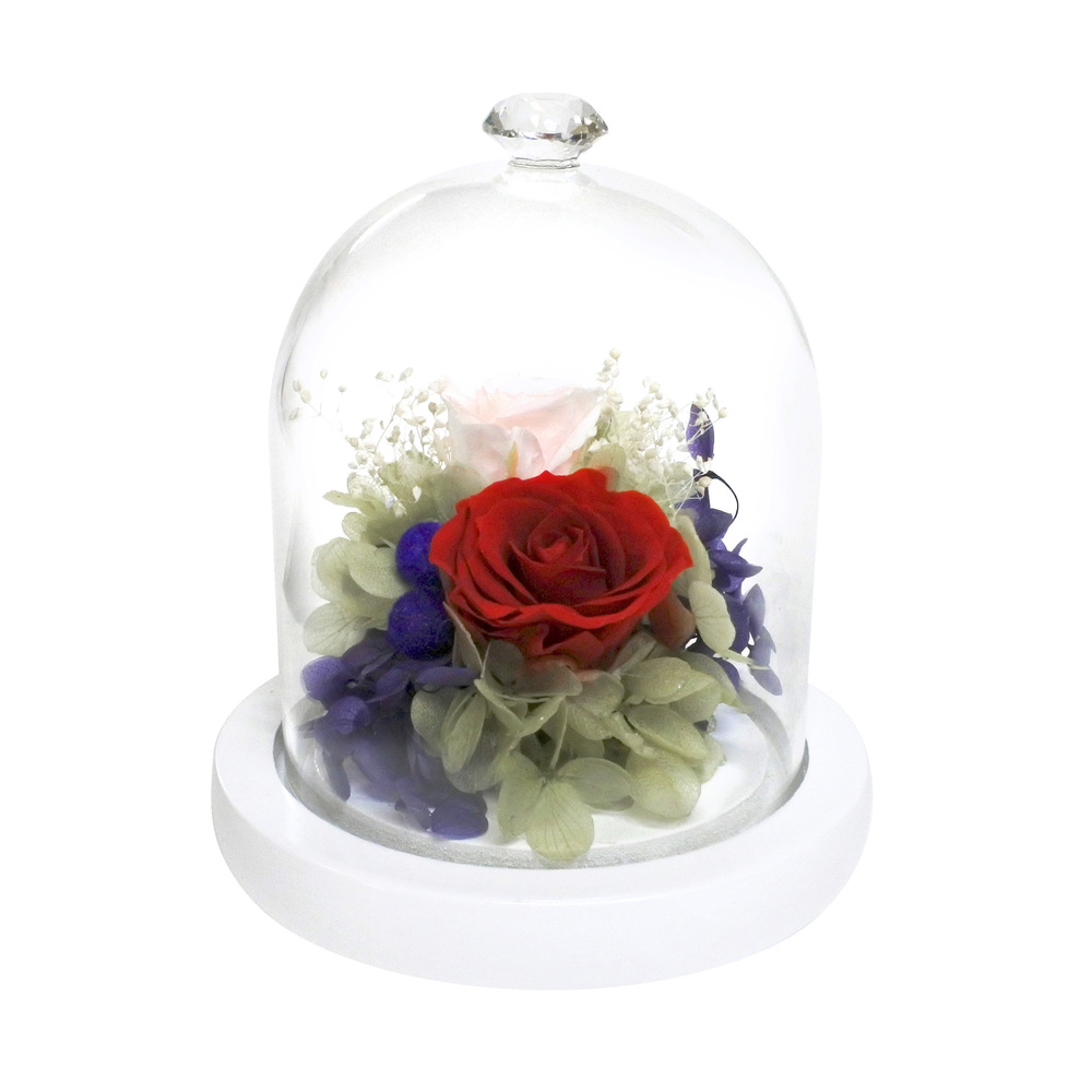 プリザーブドフラワー ガラスドーム 通販 モチーフドーム