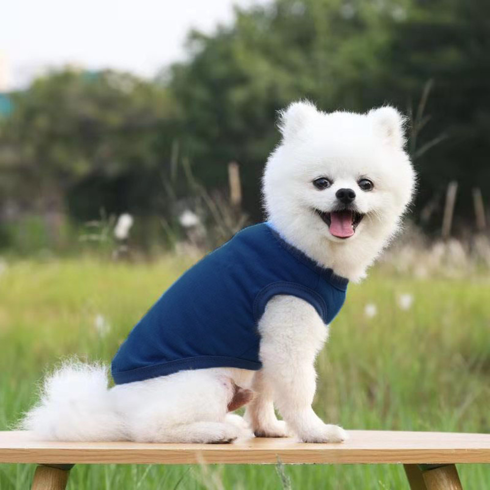 犬の服 服 ベスト 犬 猫 ペット ペット服 無地 小型犬 おしゃれ犬の服 中型犬 大型犬 ドッグウェア 洋服 犬用 いぬ イヌ 猫用 ねこ ネコ｜backyard-1｜12