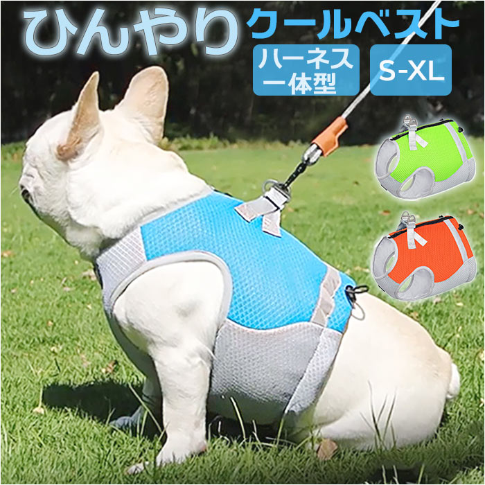 N[ n[lX  ybg ʔ N[xXg xXg `bL N[EFA  ėp ⊴ n[lX̌^ MǑ΍ ڐG⊴ ΍  y