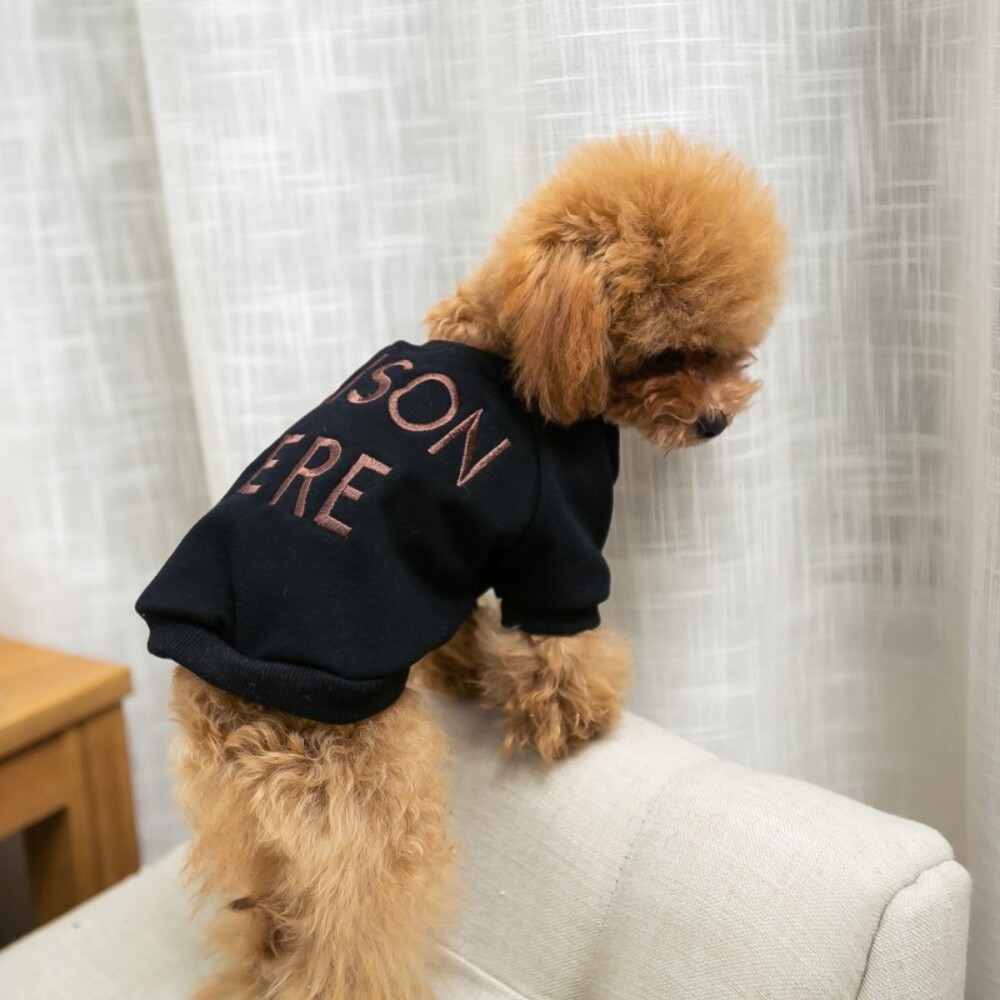 犬服 ドッグウェア 通販 トレーナー 犬 いぬ イヌ ペット服 中型犬 小型犬 おしゃれ かわいい 犬用 袖あり ペット用 綿 コットン 散歩 秋服 冬服 お出かけ｜backyard-1｜02