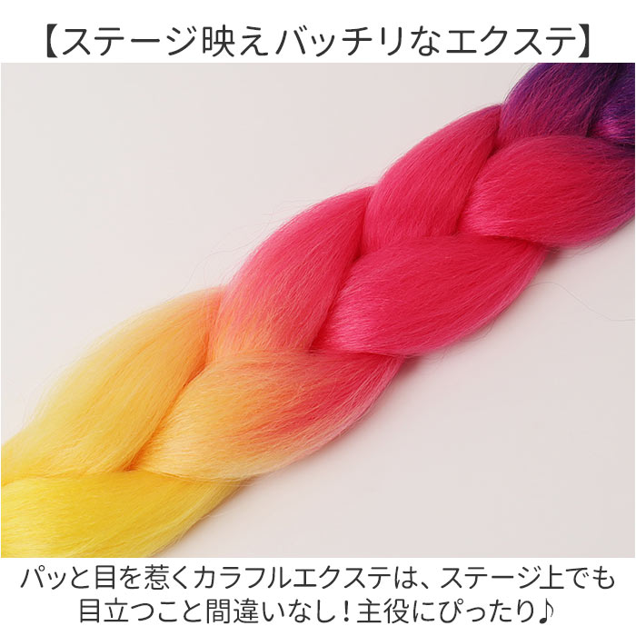 キッズ ダンス ヘア エクステ 通販 ブレイズエクステ カラーエクステ ヘアエクステ 付け毛 つけ毛 付け髪 つけ髪 エクステンション ブレイズ 子供 こども | BACKYARD FAMILY | 12