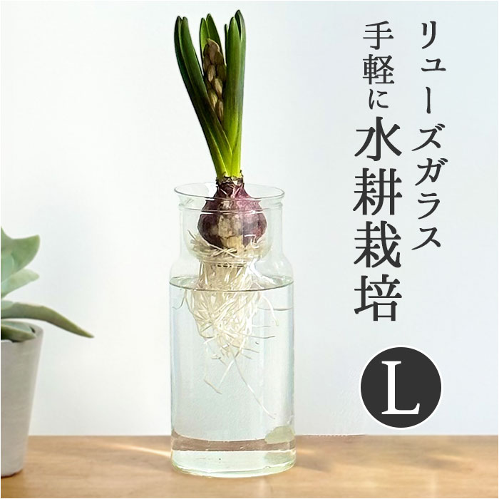 t[x[X KX ʔ [YKX ou {g L ԕr  t[|bg KX{g Ԃт g 19cm 傫 TCNKX  