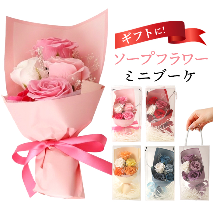 �O���[���n�E�X Green house �O���[���n�E�X �\�[�v�t�����[ �X�^���_�[�h �ʔ� �� �t�����[ ���� �t�����[�M�t�g �������� �΂��� �t�F�C�N�t�����[