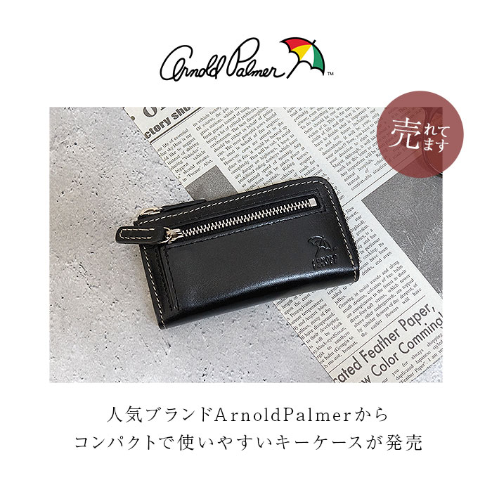 アーノルドパーマー キーケース ArnoldPalmer 4AP3637 通販 スマートキーケース スマートキー ケース キーホルダー 革 レザー 車 家の鍵 メンズ レディース |  | 09