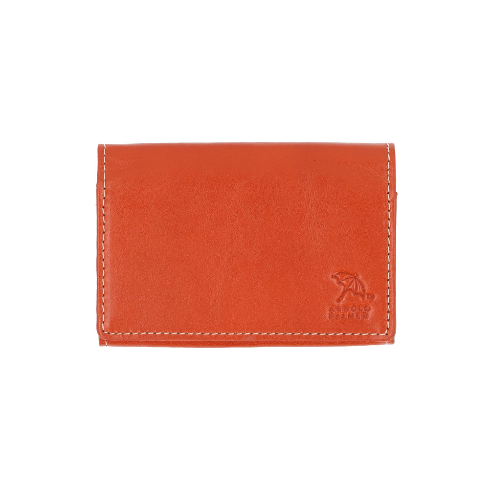 アーノルドパーマー 名刺入れ ArnoldPalmer 4AP3638 通販 名刺ケース カード入れ カードケース 名刺 入れ カード ケース メンズ レディース ブランド 男性 |  | 05