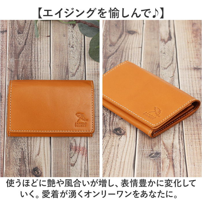 アーノルドパーマー 名刺入れ ArnoldPalmer 4AP3638 通販 名刺ケース カード入れ カードケース 名刺 入れ カード ケース メンズ レディース ブランド 男性 |  | 11