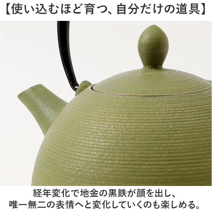 南部鉄器 急須 おしゃれ 通販 日本製 鉄瓶 鉄急須 岩鋳 お茶 ポット 藍花 aika 日の丸 鉄製 冷めにくい 盛岡 南部 鋳鉄 南部鉄 南部鉄瓶 お湯 南部鉄器 |  | 14