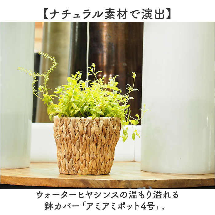 鉢カバー 4号 通販 アミアミポット4号 植木鉢カバー プランターカバー