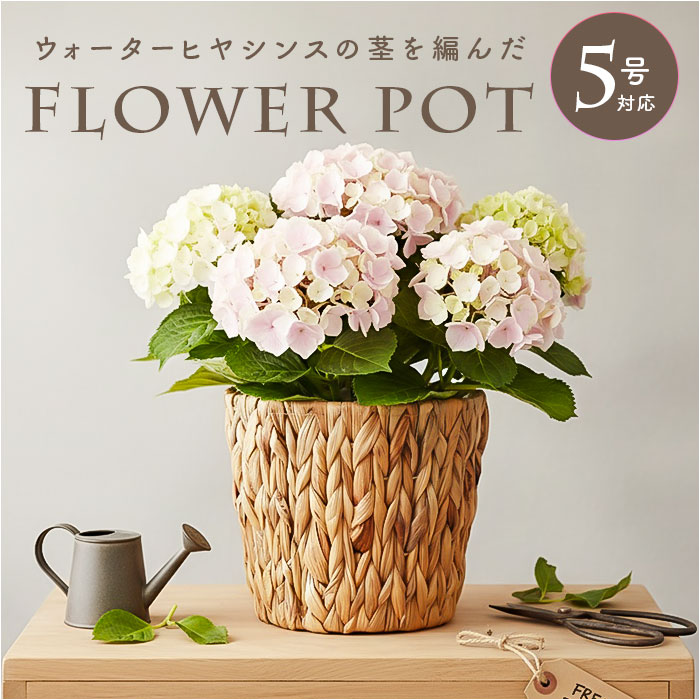 鉢カバー 5号 通販 アミアミポット5号 植木鉢カバー プランターカバー 5号鉢 花 ホワイエ 植木鉢 鉢 プランター カゴ ポット 鉢カバー