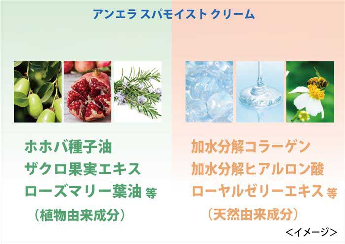 クリーム 通販 An Era アンエラ 日本 30g ジェル状のクリーム 天然温泉水配合 ハリとツヤ 天然由来成分 スキンケア フェイスケア 基礎化粧品 | An Era | 05