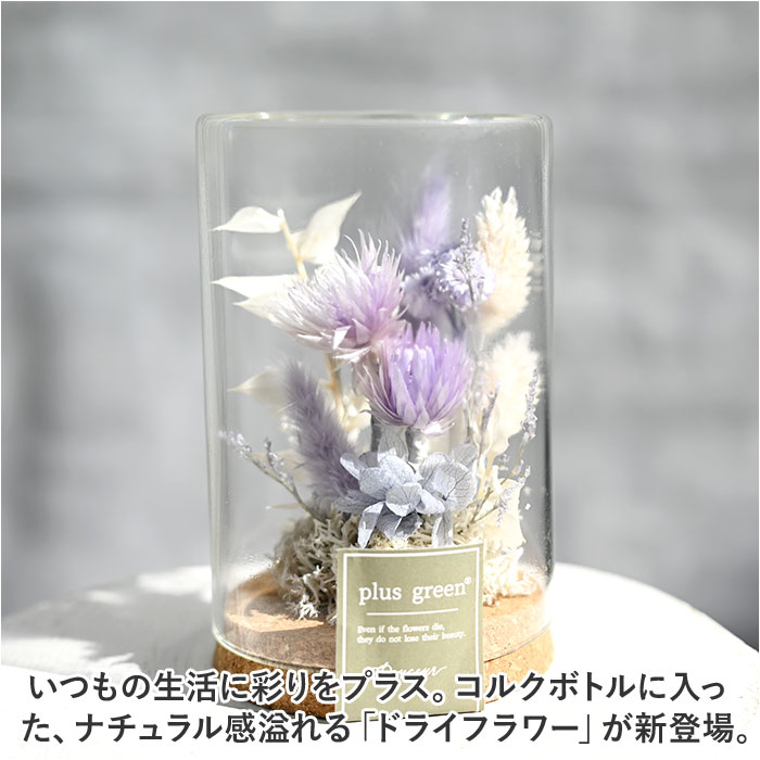ドライフラワー ガラス 通販 ボトルフラワー ...の詳細画像1