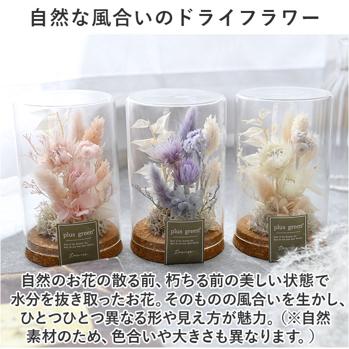 ドライフラワー ガラス 通販 ボトルフラワー ...の詳細画像2