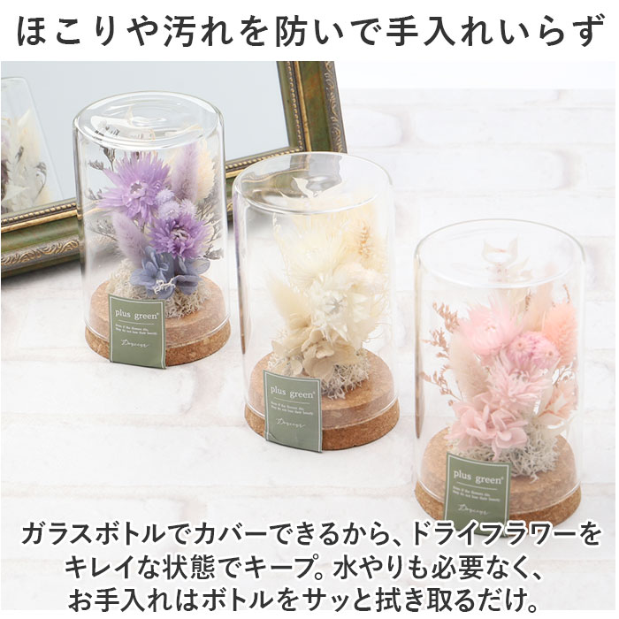 ドライフラワー ガラス 通販 ボトルフラワー ...の詳細画像5