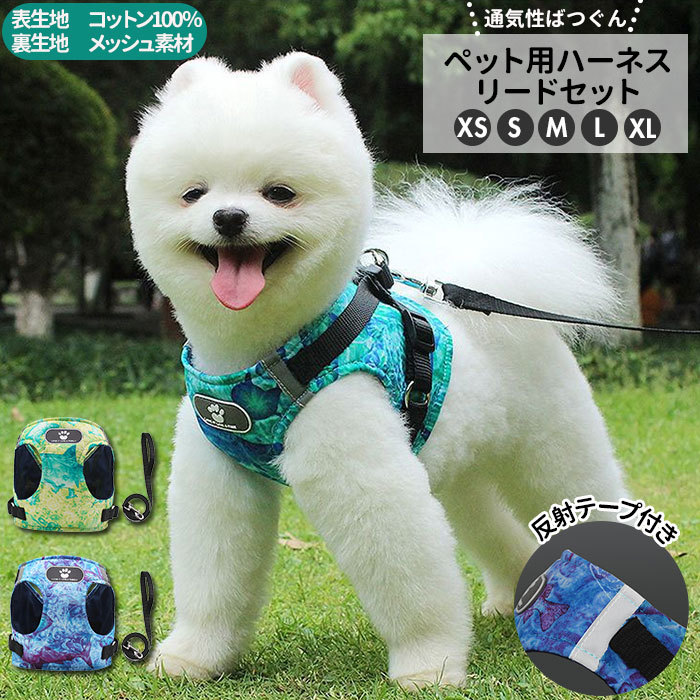 当店限定販売 犬 リード ハーネス セット 通販 ハーネスリード 小型犬 可愛い 胴輪 犬用 中型犬 大型犬 ペット用品 いぬ おしゃれ 散歩 イヌ 丈夫 シンプル かわいい ラッピング無料