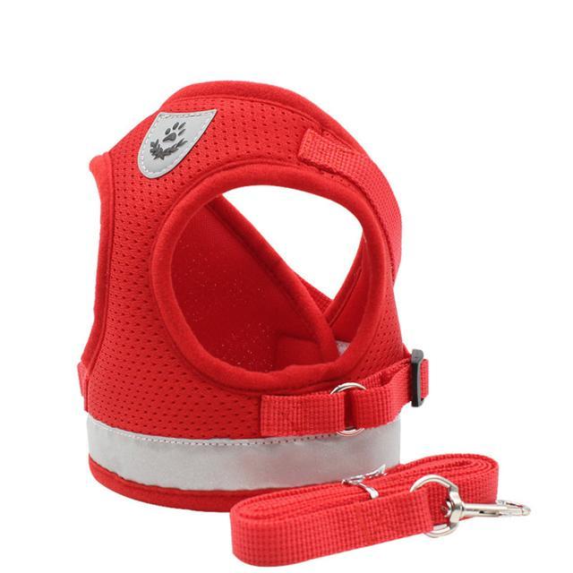 ハーネス 通販ハーネス 小型犬 中型犬 可愛い 抜けない リード セット お散歩 グッズ ペット用品 胴輪 反射板 マジックテープ 愛犬グッズ ペット用品  ハーネス | BACKYARD FAMILY | 03