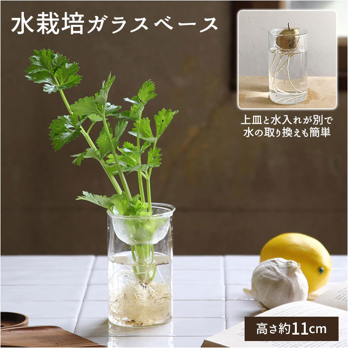 花瓶 ガラス 通販 Bulb Vase バルブベース 11cm スパイス Kegy4053 ガラスベース ガラス花器 かわいい 水栽培 容器 おしゃれ 球根 液肥 かわいい 敬老の日 Ppuqys375x 花瓶 花器 Www Shillelaghquarries Ie