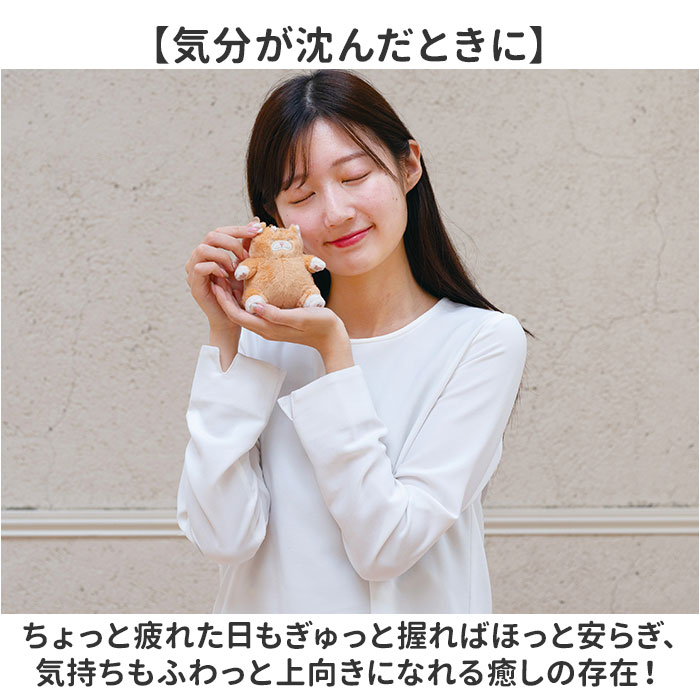 マスコット 通販 ねこ肯定感 ネココウテイカン キーホルダー 御守りマスコット ストラップ キーリング チャーム 持ち歩き 携帯 ぬいぐるみ マスコット |  | 08