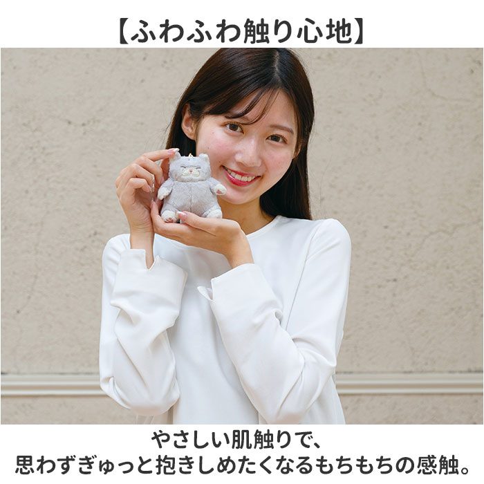 マスコット 通販 ねこ肯定感 ネココウテイカン キーホルダー 御守りマスコット ストラップ キーリング チャーム 持ち歩き 携帯 ぬいぐるみ マスコット |  | 11