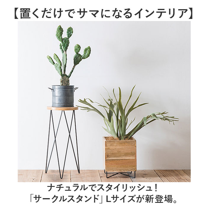 『イタリア製』サイドテーブル ナイトテーブル テーブル 花台 飾台RWcen25 71z8pqprQCL._UF894,1000_QL80_.jpg