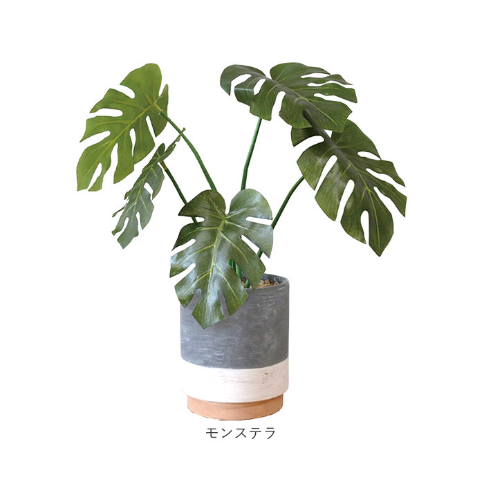 光触媒 フェイクグリーン 通販 観葉植物 人工観葉植物 ポット