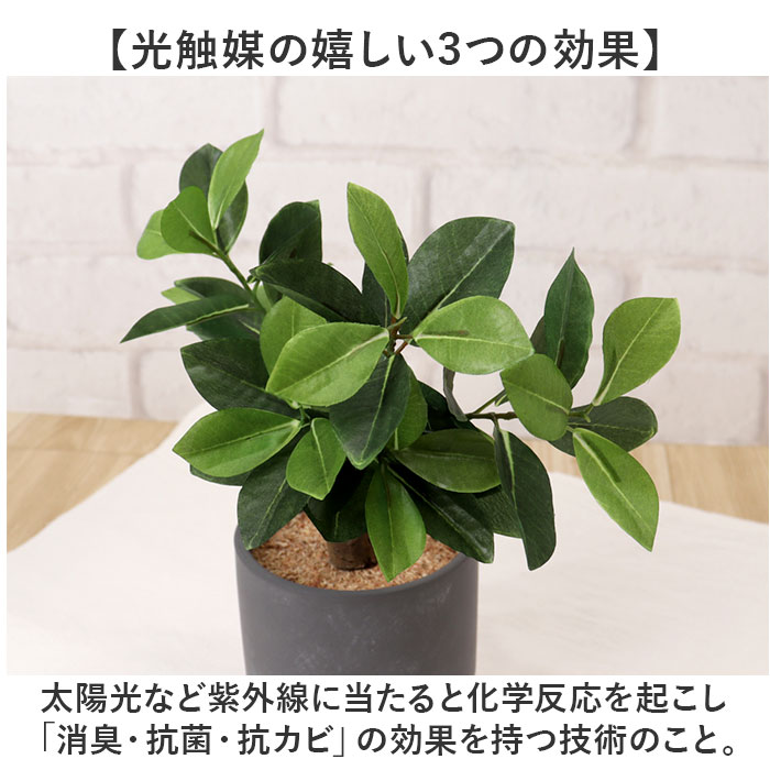 光触媒 フェイクグリーン 通販 観葉植物 人工観葉植物 ポット