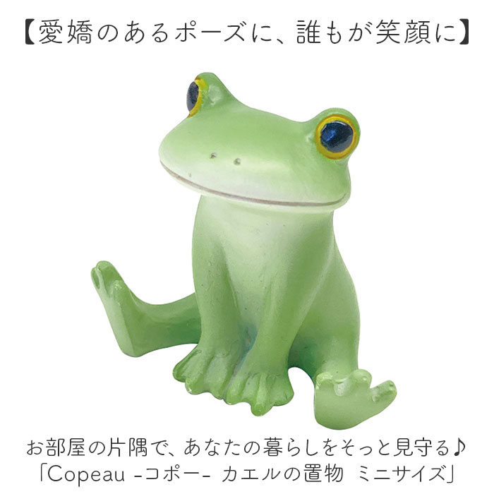 カエル コポー 大きい（ギフト対応：包装紙、パッケージ）の商品一覧