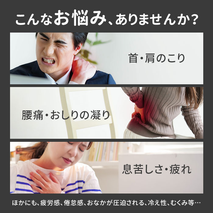 骨盤サポート チェア 姿勢矯正 通販 cosios Premium コシオス 骨盤サポート チェア 姿勢矯正 通販 cosios Premium コシオス