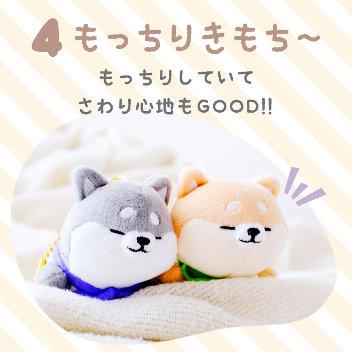 ニコイチキーホルダー 通販ニコイチキーホルダー キーホルダー