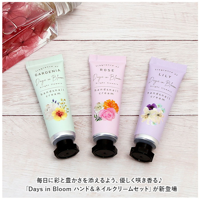 ハンドクリーム 通販ハンドクリーム セット ネイルクリーム ギフト 贈り物 母の日 誕生日 記念日 スキンケア ハンドケア ネイルケア  ハンドクリーム | 綾花 | 02