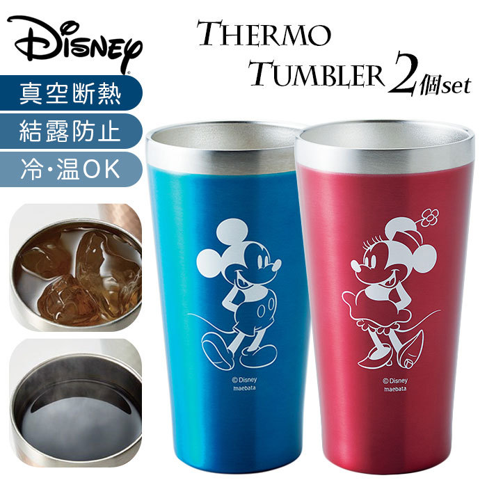 disneythermoset2.jpg