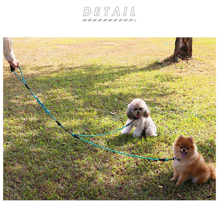 犬 リード 2頭引き 通販 おしゃれ かわいい 小型犬 可愛い 犬用 中型犬 いぬ イヌ 多頭飼い 散歩 ペット用品 先端部 延長 30 Off ダブルリード 丈夫