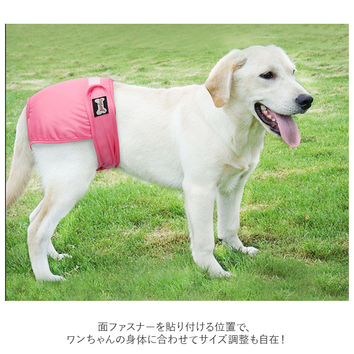 マナーパンツ 犬 通販 女の子 サニタリーパンツ 生理パンツ オムツカバー マナーショーツ シンプル 小型犬 中型犬 大型犬 ドッグウェア 犬の服 マナーパンツ | ブランド登録なし | 02