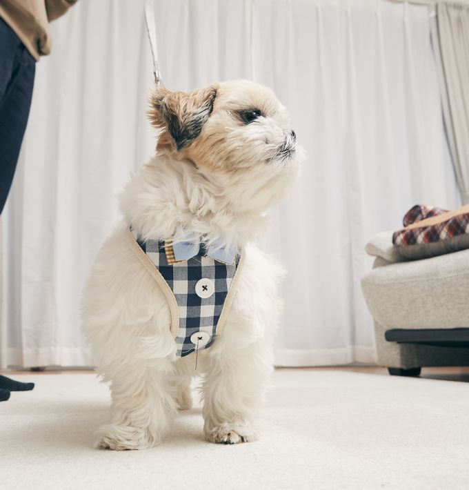 ハーネス 付き 犬 服 通販 アンファンス EF-PT03 ペットハーネス リード付き リード 犬服 いぬふく 一体型 イヌ いぬ 小型犬 中型犬 大型犬 おしゃれ ハーネス |  | 11