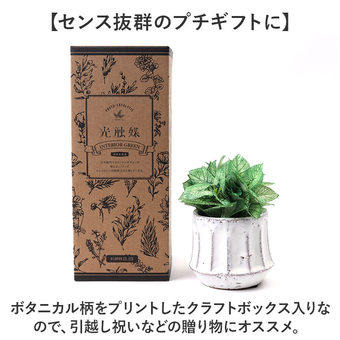 光触媒 観葉植物 通販 フェイクグリーン 人工観葉植物 フェイク 光触媒 観葉植物 通販 フェイクグリーン 人工観葉植物 フェイク