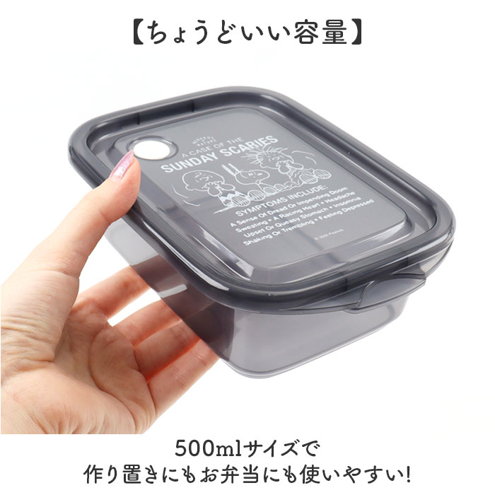 スケーター 保存容器 通販 日本製 フードコンテナ skater 弁当箱 お弁当箱 キャラクター FCN2WAG 抗菌 レンジ対応 作りおき 食品保存 女の子 スケーター |  | 25