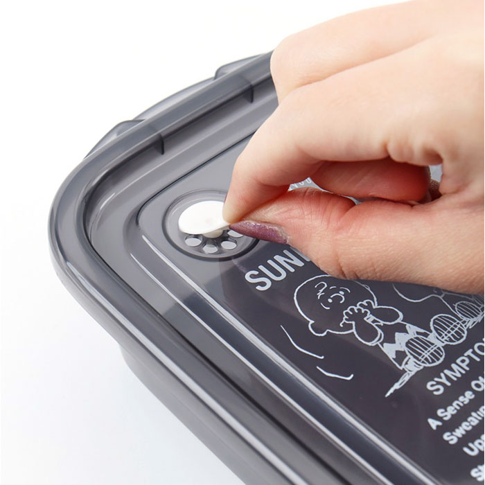 スケーター 保存容器 通販 日本製 フードコンテナ skater 弁当箱 お弁当箱 キャラクター FCN2WAG 抗菌 レンジ対応 作りおき 食品保存 女の子 スケーター |  | 27