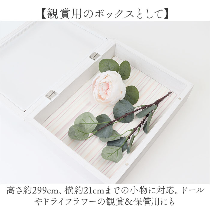 アートフレーム A4 通販 万丈 フロントオープンBOX ボックスフレーム 立体額 額 アート フレーム 厚み 額縁 子供の作品収納ボックス 子どもの絵 アートフレーム |  | 07