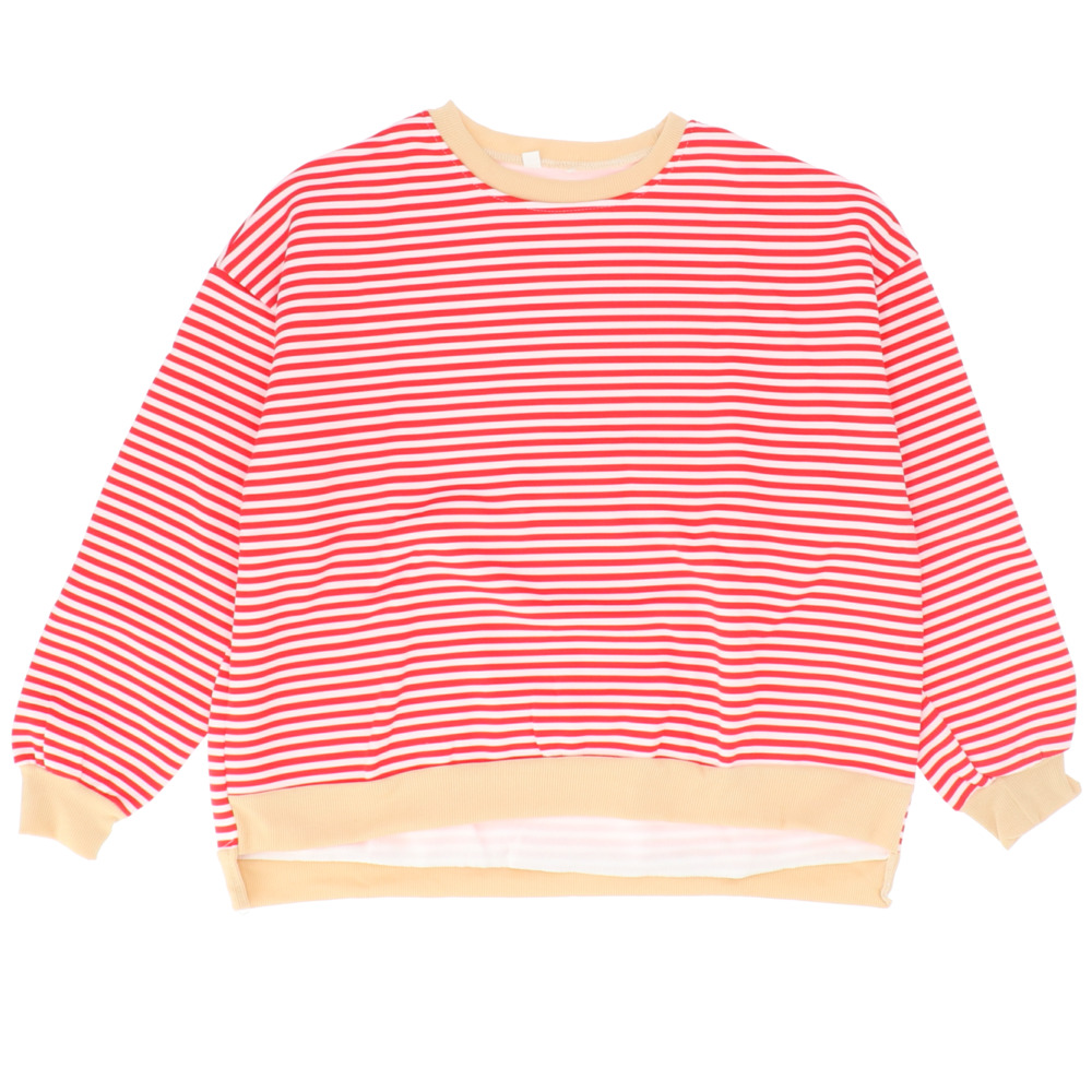 トレーナー レディース 通販レディース おしゃれ プルオーバー トップス 春 長袖 春服 可愛い 大きいサイズ 大きめ ビッグシルエット オーバーサイズ XL | BACKYARD FAMILY | 01