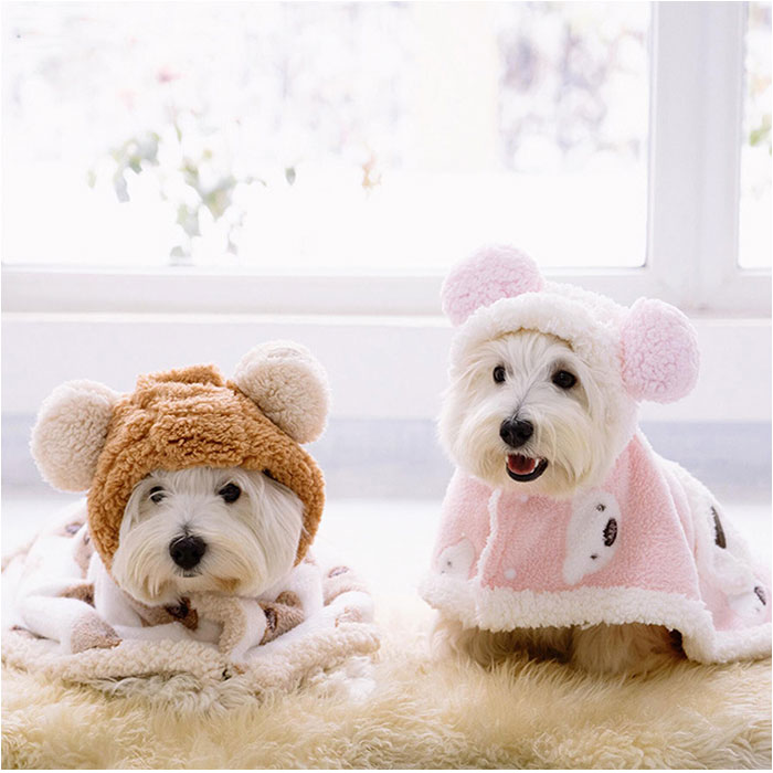 ペット ブランケット 毛布 通販 犬 猫 犬用 猫用 防寒 暖かい ドッグウエア ペット服 ケープ フード付き もこもこ 小型犬 中型犬 ペット用毛布 お昼寝 ペット |  | 05