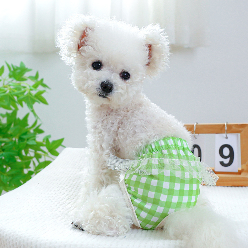 ドッグウェア サニタリーパンツ マナーバンド 通販 犬用マナーバンド おむつ オムツ 生理パンツ マナーパンツ おむつカバー マーキング防止 犬服 小型犬 | BACKYARD FAMILY | 01
