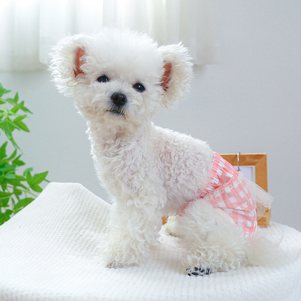 ドッグウェア サニタリーパンツ マナーバンド 通販 犬用マナーバンド おむつ オムツ 生理パンツ マナーパンツ おむつカバー マーキング防止 犬服 小型犬 | BACKYARD FAMILY | 02