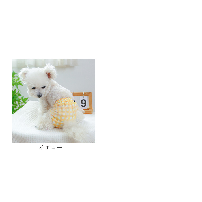 ドッグウェア サニタリーパンツ マナーバンド 通販 犬用マナーバンド おむつ オムツ 生理パンツ マナーパンツ おむつカバー マーキング防止 犬服 ドッグウェア |  | 18