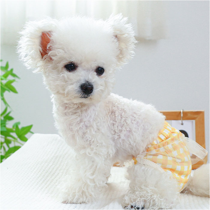 ドッグウェア サニタリーパンツ マナーバンド 通販 犬用マナーバンド おむつ オムツ 生理パンツ マナーパンツ おむつカバー マーキング防止 犬服 ドッグウェア |  | 02