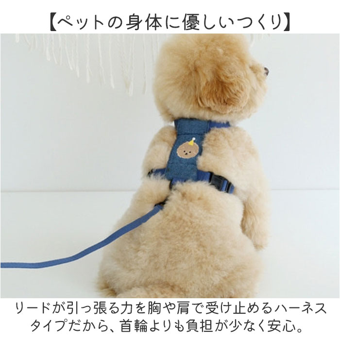 BACKYARD FAMILY（バックヤードファミリー） 小型 犬 ハーネス リード