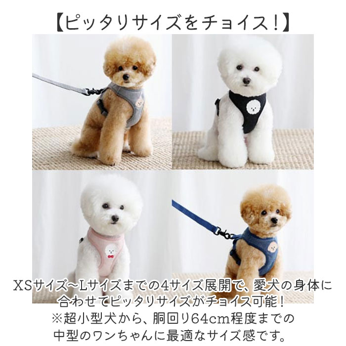 BACKYARD FAMILY（バックヤードファミリー） 小型 犬 ハーネス リード