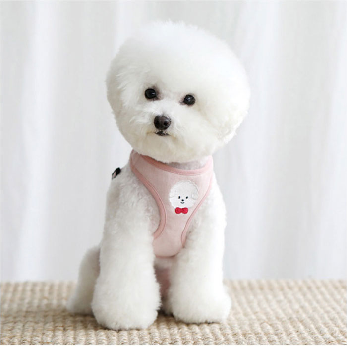 BACKYARD FAMILY（バックヤードファミリー） 小型 犬 ハーネス リード