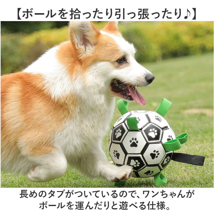 犬 おもちゃ ボール 通販 犬用ボール 犬おもちゃ 犬オモチャ 犬用おもちゃ ペットおもちゃ 玩具 サッカーボール 19cm 噛むおもちゃ 室内 屋外 小型犬 犬 |  | 04