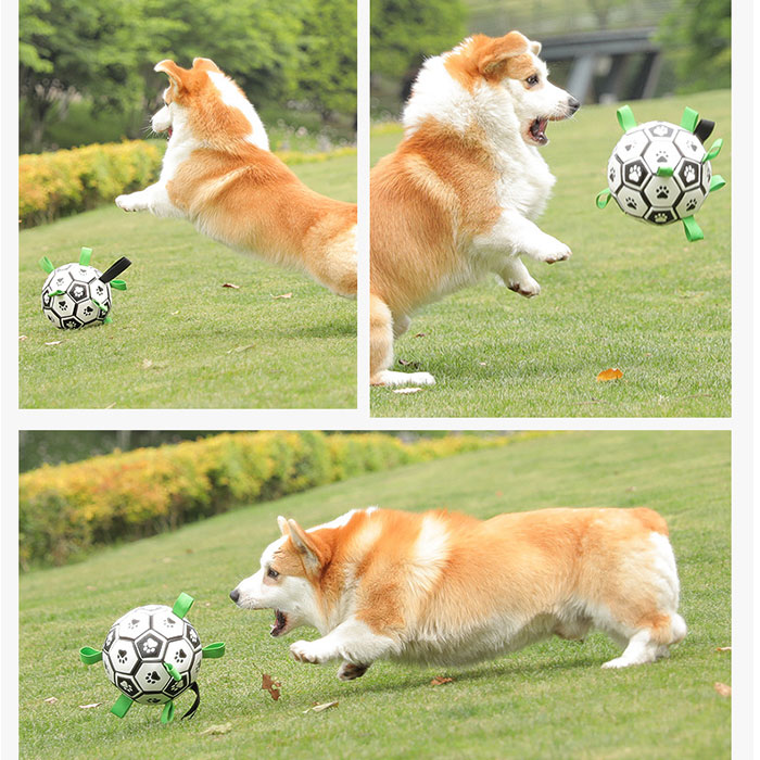 犬 おもちゃ ボール 通販 犬用ボール 犬おもちゃ 犬オモチャ 犬用おもちゃ ペットおもちゃ 玩具 サッカーボール 19cm 噛むおもちゃ 室内 屋外 小型犬 犬 |  | 09