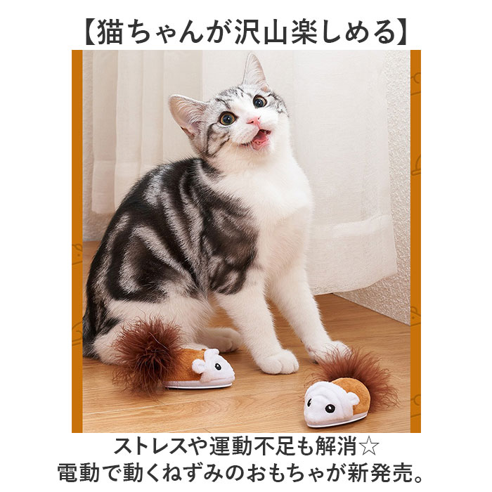 猫のおもちゃ 電動 ネズミ 通販 おもちゃ オモチャ 玩具 ペット用おもちゃ 電動おもちゃ ラジコン ねずみラジコン ねずみおもちゃ 走るマウス 猫のおもちゃ |  | 03